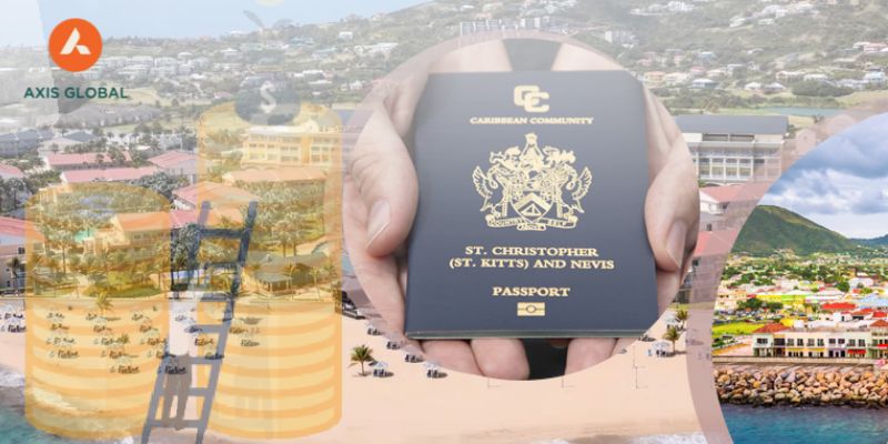 Nh&agrave; đầu tư c&oacute; thể lựa chọn nhiều h&igrave;nh thức đ&oacute;ng g&oacute;p để xin quốc tịch