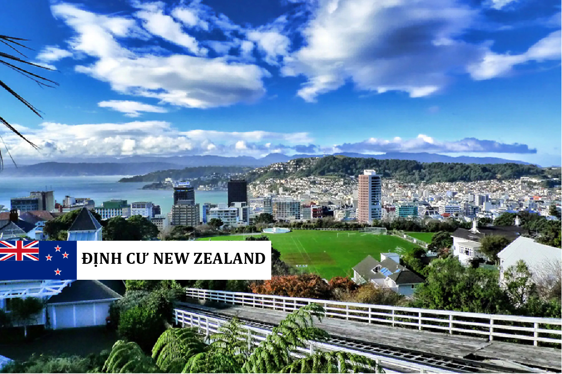 Định cư New Zealand - AIP