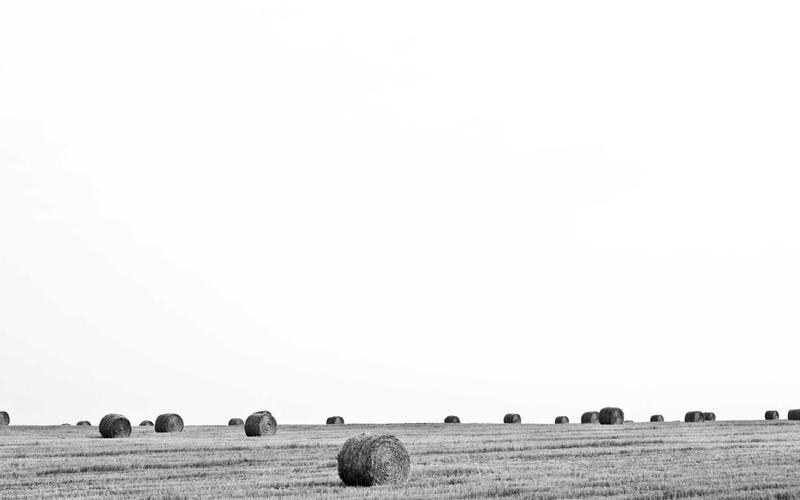 Canada tăng hạn ngạch nhập cư lên 500.000 người/năm từ 2026