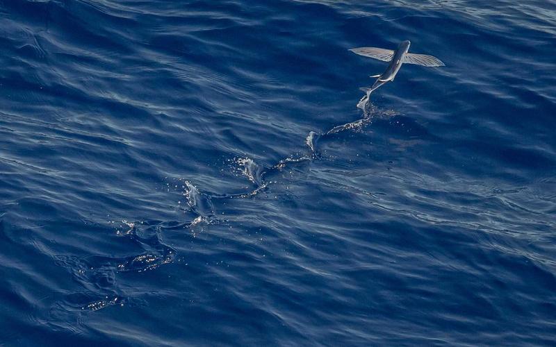 IBID ký kết hợp tác chiến lược với Range Developments