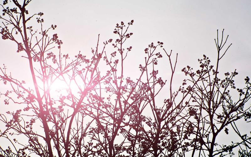 So sánh chi phí định cư Mỹ, Canada và Úc năm 2026