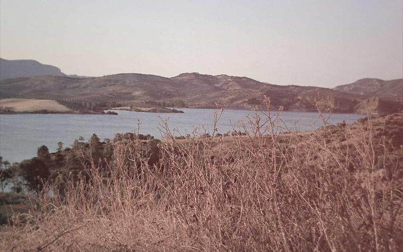 Tạm dừng cấp Visa Mỹ cho 39 quốc gia từ đầu năm 2026